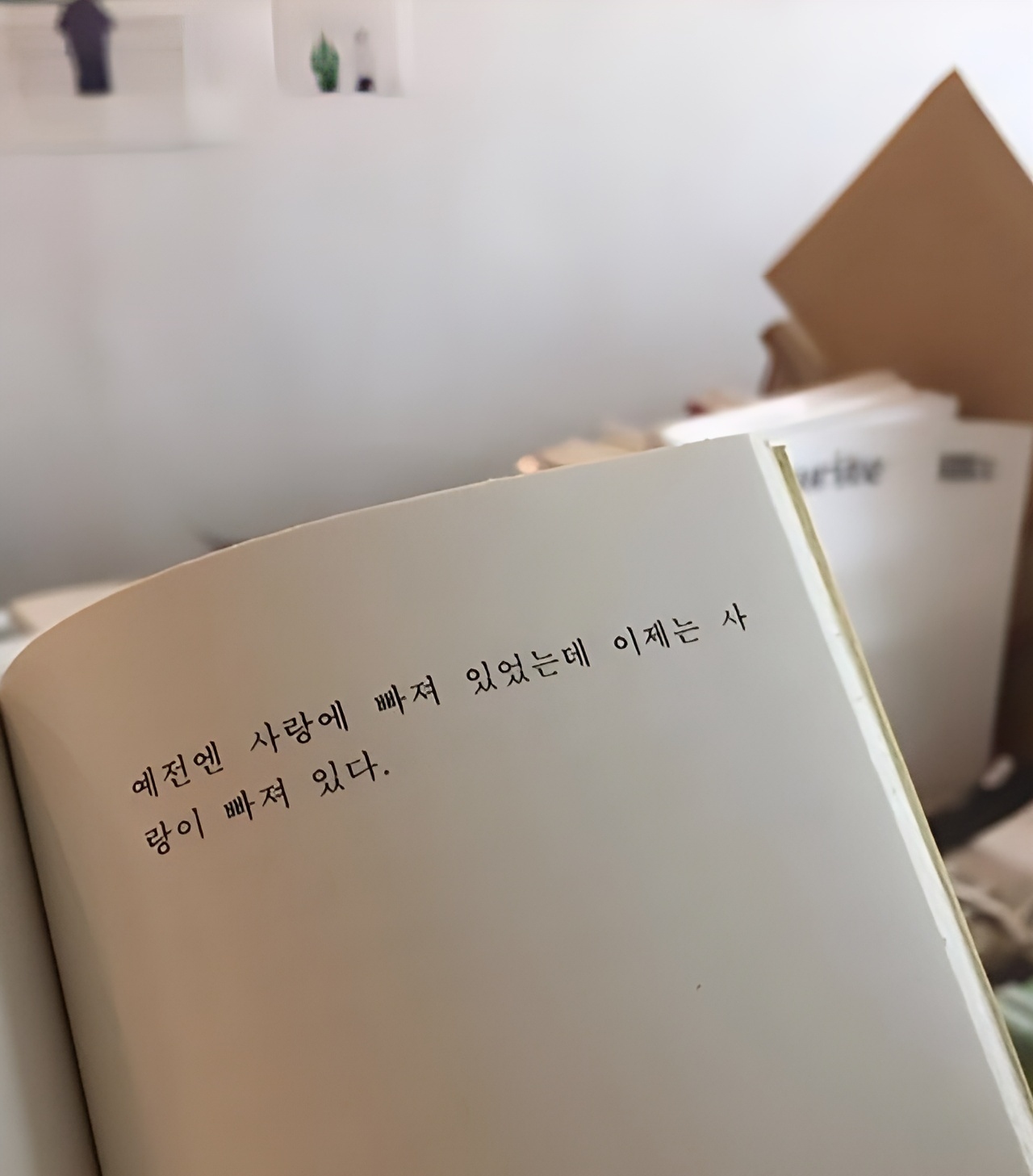 프로필 대표 이미지